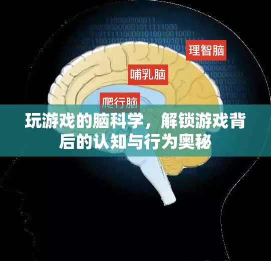 游戲背后的腦科學(xué)，解鎖認(rèn)知與行為奧秘
