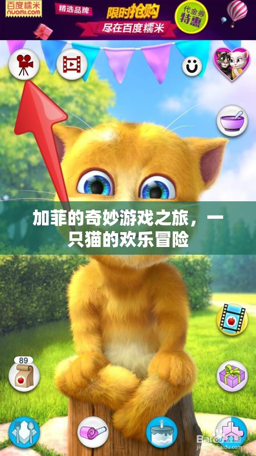 加菲貓的歡樂冒險(xiǎn)，奇妙游戲之旅