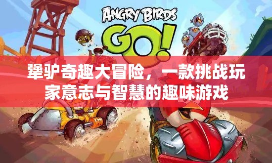 犟驢奇趣大冒險(xiǎn)，挑戰(zhàn)意志與智慧的趣味之旅