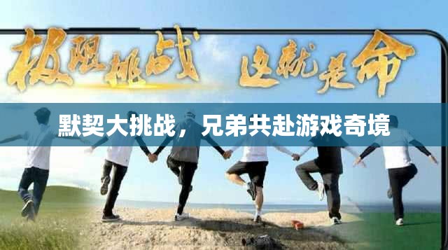 兄弟默契大挑戰(zhàn)，共赴游戲奇境