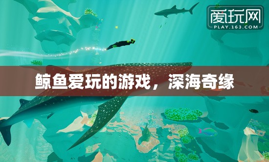 深海奇緣，鯨魚的夢幻游戲