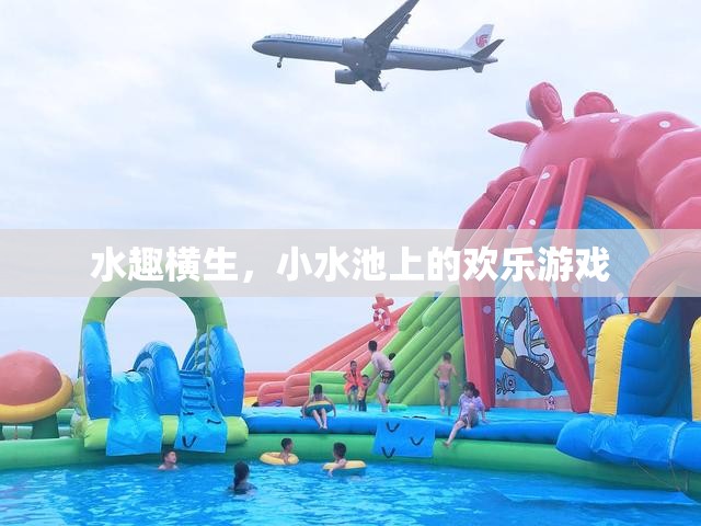 小水池上的歡樂游戲，水趣橫生的夏日時光