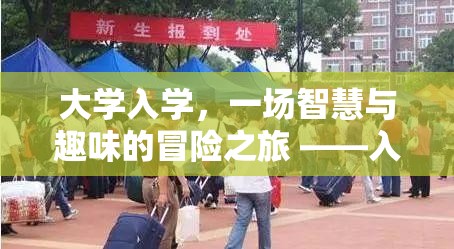 智慧與趣味的碰撞，大學(xué)入學(xué)奇境游戲之旅