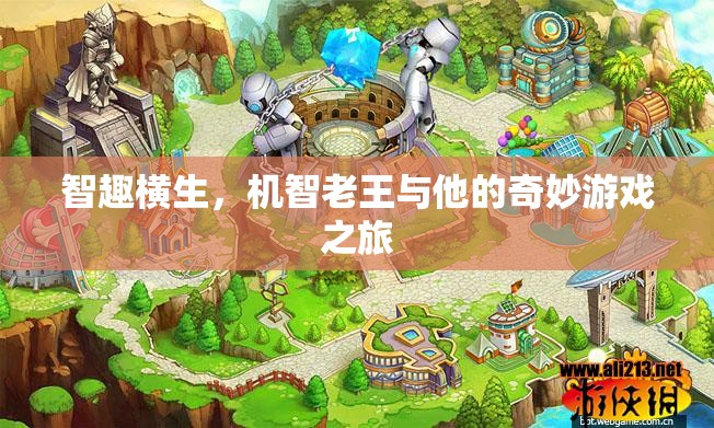機(jī)智老王，智趣橫生的奇妙游戲之旅