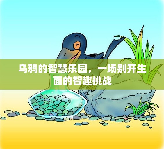 烏鴉的智慧樂園，一場別開生面的智趣挑戰(zhàn)