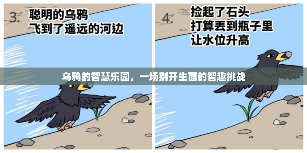 烏鴉的智慧樂園，一場別開生面的智趣挑戰(zhàn)