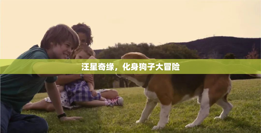 汪星奇緣，狗子大冒險