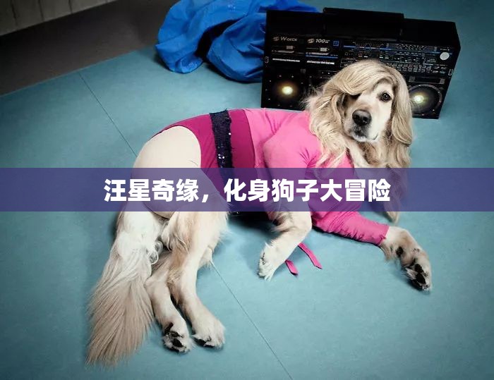 汪星奇緣，狗子大冒險