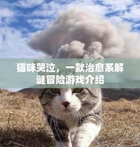 貓咪哭泣，治愈系解謎冒險(xiǎn)之旅