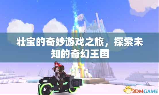 壯寶的奇幻王國冒險(xiǎn)，一場未知的奇妙游戲之旅  第1張
