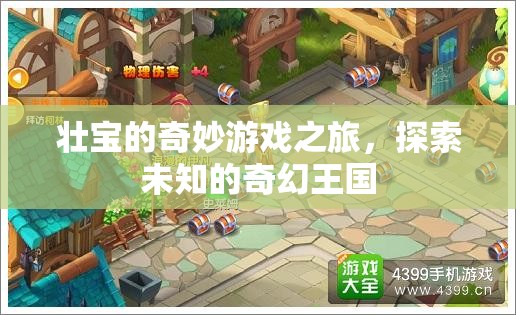 壯寶的奇幻王國冒險(xiǎn)，一場未知的奇妙游戲之旅  第2張