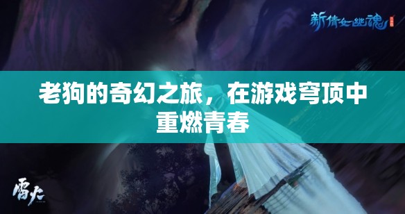 老狗的奇幻游戲穹頂之旅，重燃青春的冒險(xiǎn)