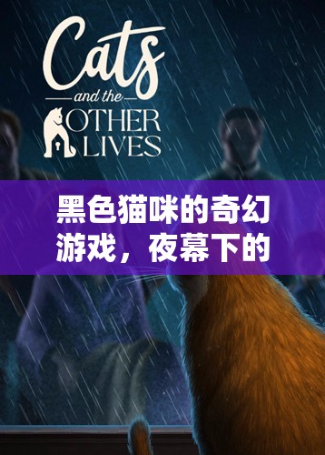 夜幕下的神秘冒險，黑色貓咪的奇幻游戲