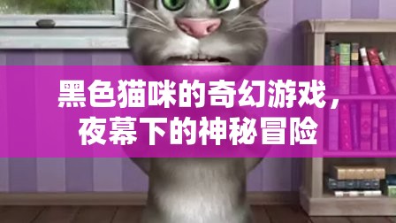 夜幕下的神秘冒險，黑色貓咪的奇幻游戲
