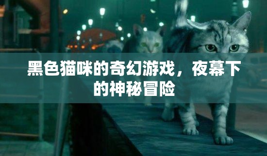 夜幕下的神秘冒險，黑色貓咪的奇幻游戲