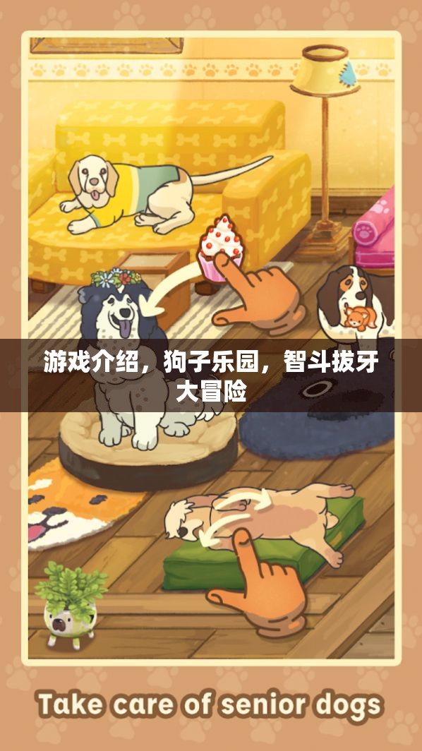 智斗拔牙大冒險(xiǎn)，狗子樂園的歡樂挑戰(zhàn)