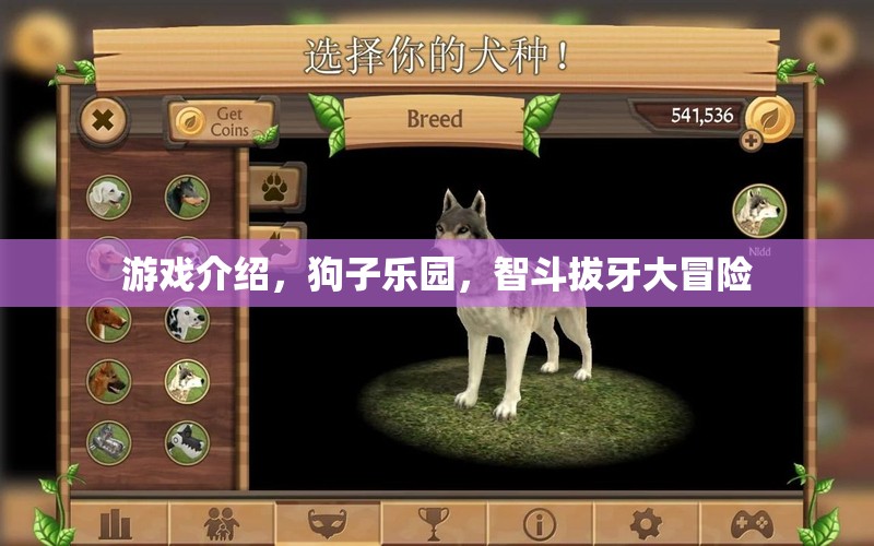 智斗拔牙大冒險(xiǎn)，狗子樂園的歡樂挑戰(zhàn)