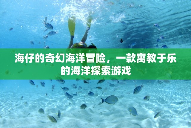海仔的奇幻海洋冒險(xiǎn)，寓教于樂(lè)的海洋探索游戲