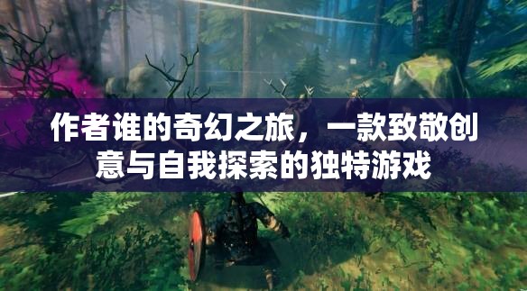 誰的奇幻之旅，創(chuàng)意與自我探索的獨(dú)特冒險(xiǎn)