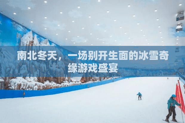 冰雪奇緣，南北冬天的游戲盛宴