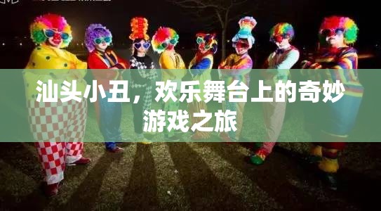 汕頭小丑，歡樂舞臺上的奇妙游戲之旅