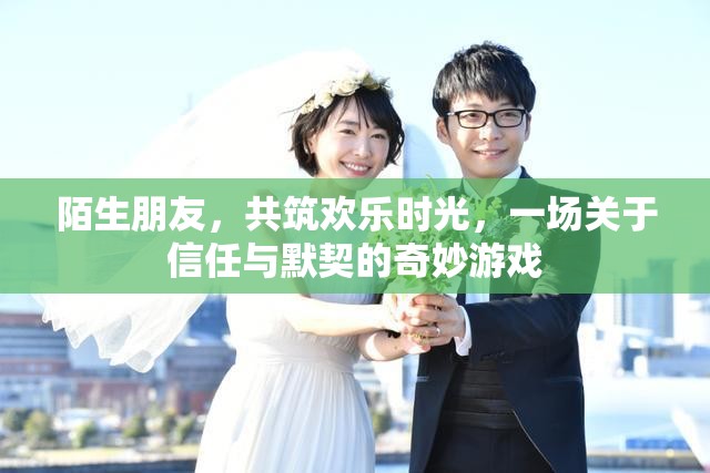 陌生朋友共筑歡樂時光，一場關(guān)于信任與默契的奇妙游戲