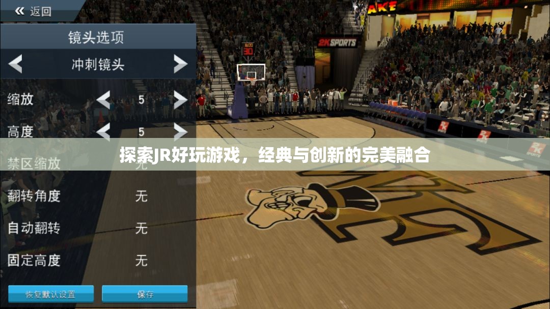 探索JR好玩游戲，經(jīng)典與創(chuàng)新完美融合的魅力之旅