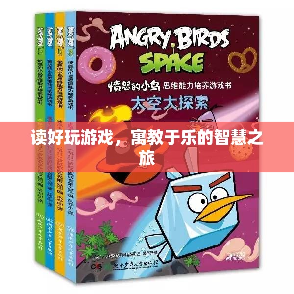 寓教于樂，讀好玩游戲的智慧之旅
