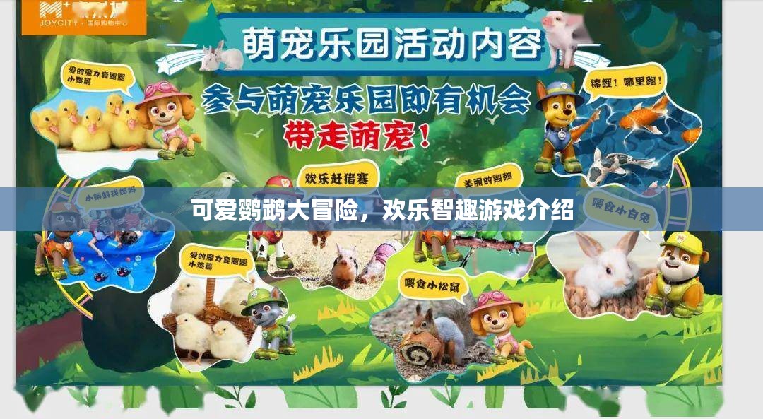 鸚鵡奇趣大冒險(xiǎn)，歡樂智趣游戲