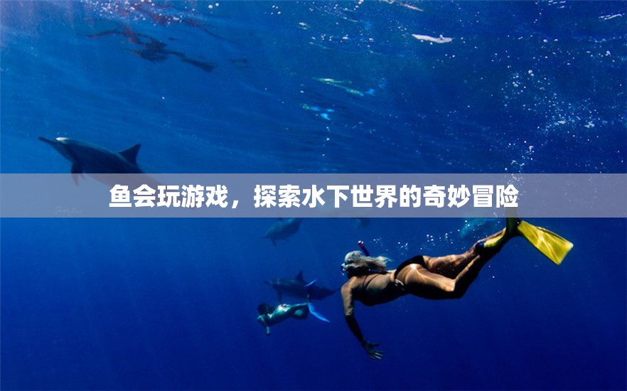 魚之樂，水下世界的奇妙游戲冒險