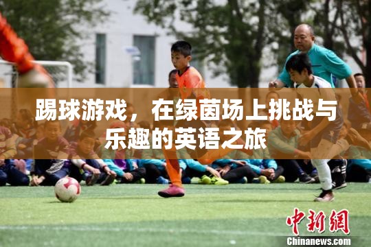 綠茵場上的挑戰(zhàn)與樂趣，一場英語之旅的踢球游戲