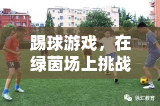 綠茵場上的挑戰(zhàn)與樂趣，一場英語之旅的踢球游戲