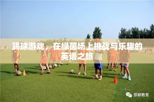 綠茵場上的挑戰(zhàn)與樂趣，一場英語之旅的踢球游戲