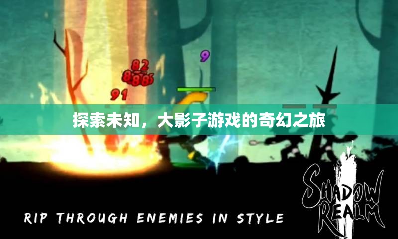 大影子游戲，一場探索未知的奇幻之旅