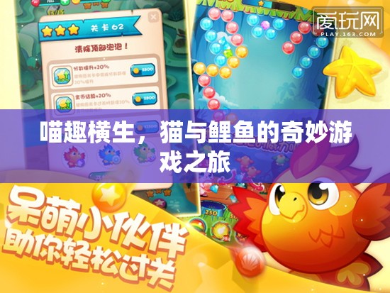 喵趣橫生，貓與鯉魚的奇妙游戲之旅