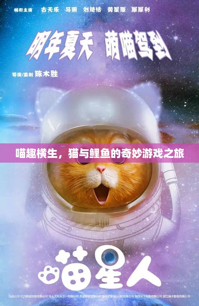 喵趣橫生，貓與鯉魚的奇妙游戲之旅