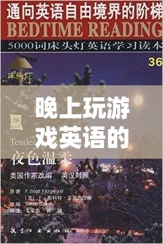 夜幕下的英語冒險，游戲中的奇妙之旅  第3張