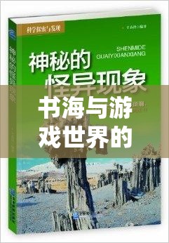 書海與游戲世界的抉擇，探索寧愿游戲現(xiàn)象的背后  第3張