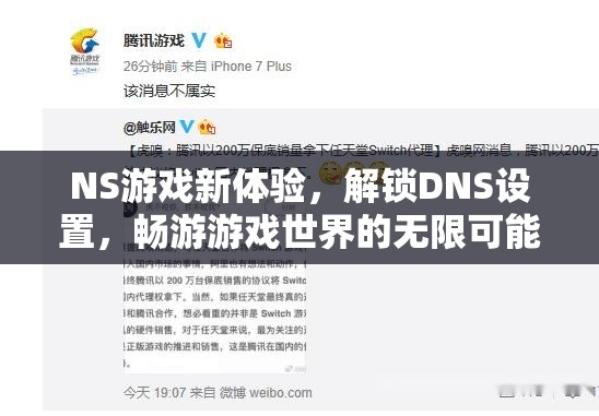 解鎖NS游戲新境界，DNS設(shè)置帶你遨游無限游戲世界