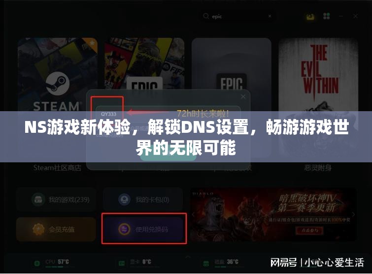解鎖NS游戲新境界，DNS設(shè)置帶你遨游無限游戲世界