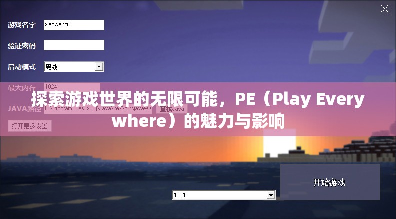 PE（Play Everywhere）的魅力與影響，探索游戲世界的無限可能