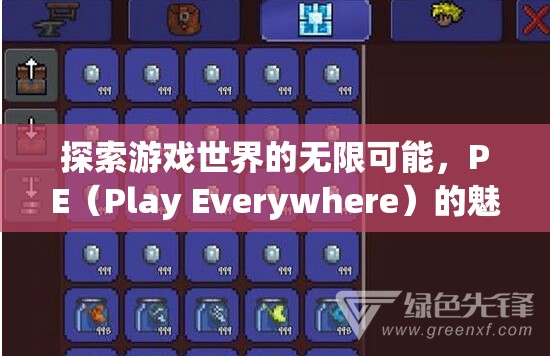 PE（Play Everywhere）的魅力與影響，探索游戲世界的無限可能