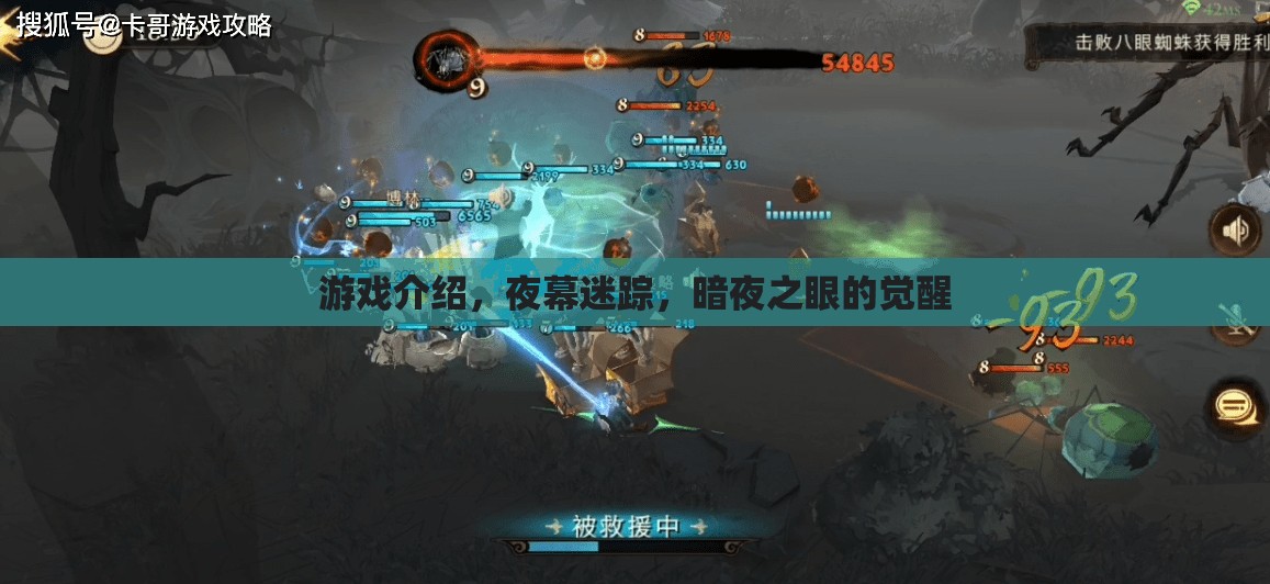 夜幕迷蹤，暗夜之眼的覺醒——揭秘神秘游戲之旅  第1張
