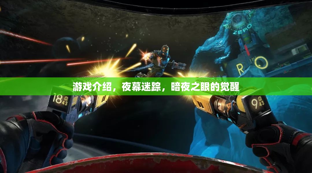 夜幕迷蹤，暗夜之眼的覺醒——揭秘神秘游戲之旅  第2張