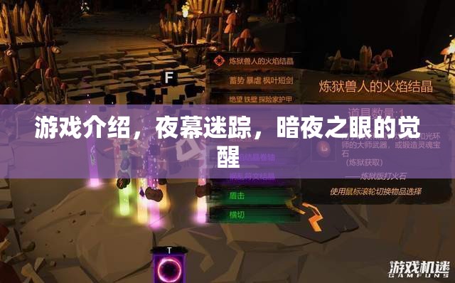 夜幕迷蹤，暗夜之眼的覺醒——揭秘神秘游戲之旅  第3張