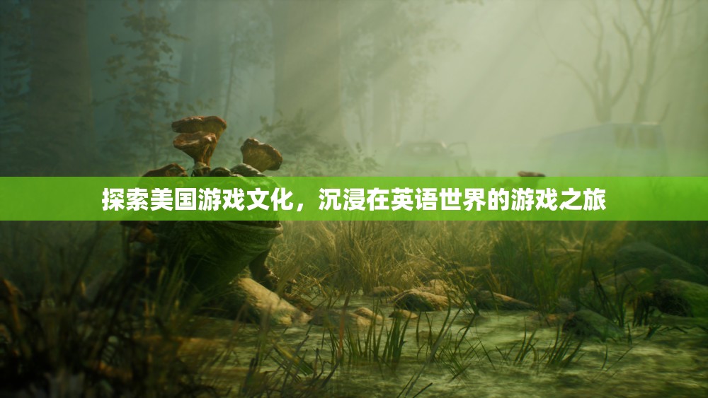 探索美國(guó)游戲文化，一場(chǎng)英語(yǔ)世界的游戲之旅