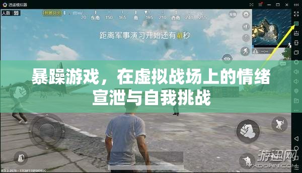 暴躁游戲，虛擬戰(zhàn)場上的情緒宣泄與自我挑戰(zhàn)  第2張