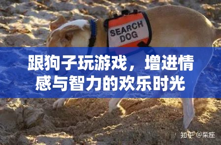 與愛(ài)犬共舞，游戲中的情感與智力成長(zhǎng)歡樂(lè)時(shí)光
