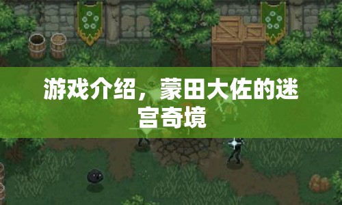 蒙田大佐的迷宮奇境，一場解謎與冒險(xiǎn)的盛宴