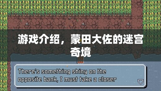 蒙田大佐的迷宮奇境，一場解謎與冒險(xiǎn)的盛宴